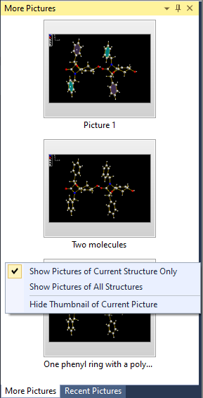 Detailed screenshot with More Pictures docking window and options menu
